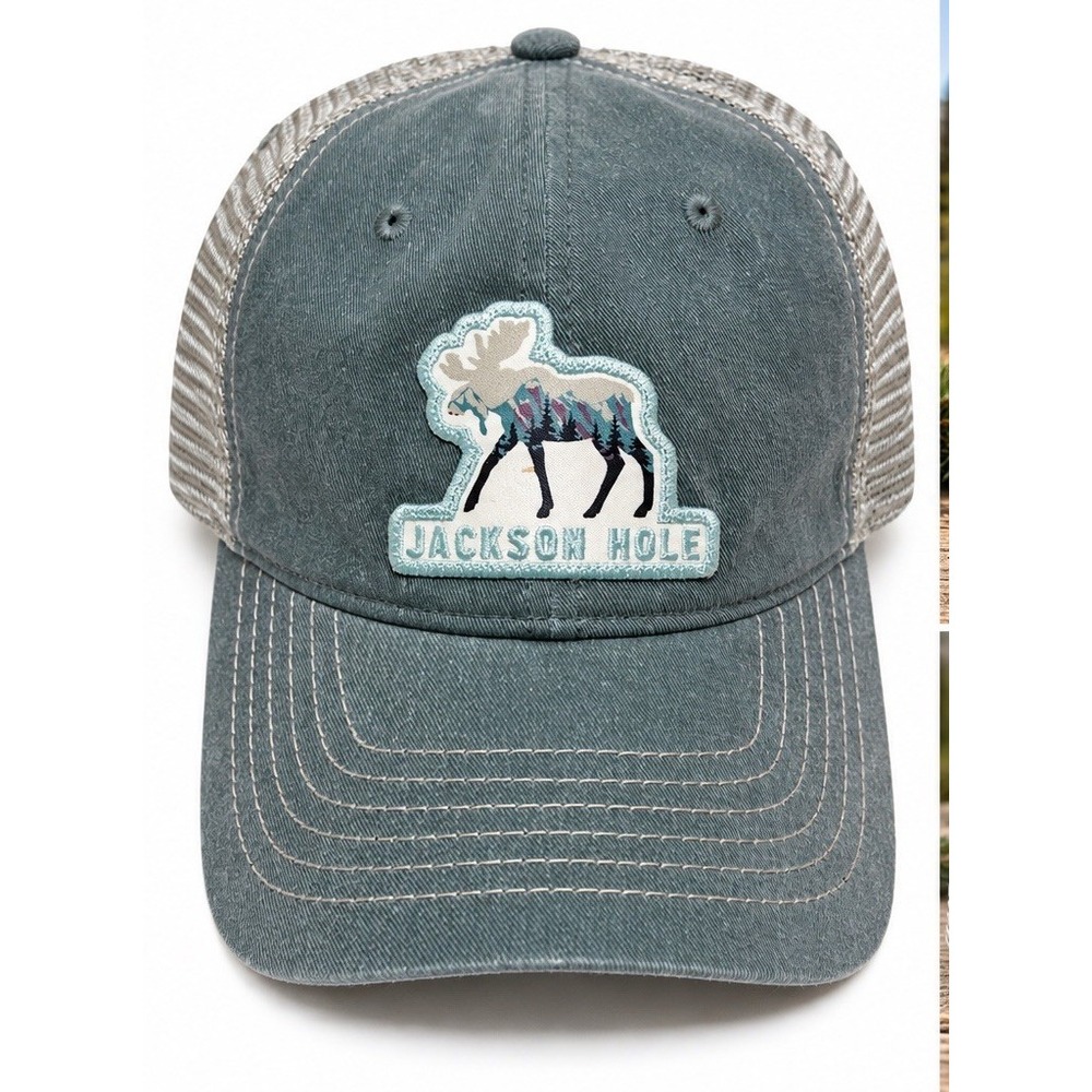 Zephyr Jackson Hole Wyoming Moose Trucker Hat Snapback Mesh Blue Gray Outdoor